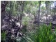 665 Birthamba Road, South Kolan QLD 4670