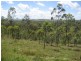 Good Night QLD 4671