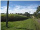 Delan QLD 4671