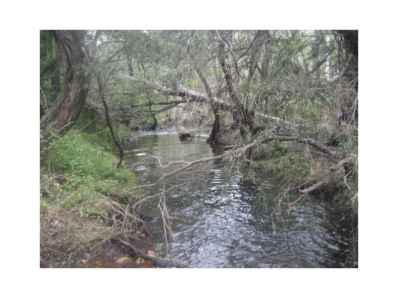 Coalstoun Lakes QLD 4621