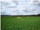 Mundubbera QLD 4626