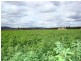 Mundubbera QLD 4626