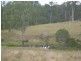 Wallaville QLD 4671