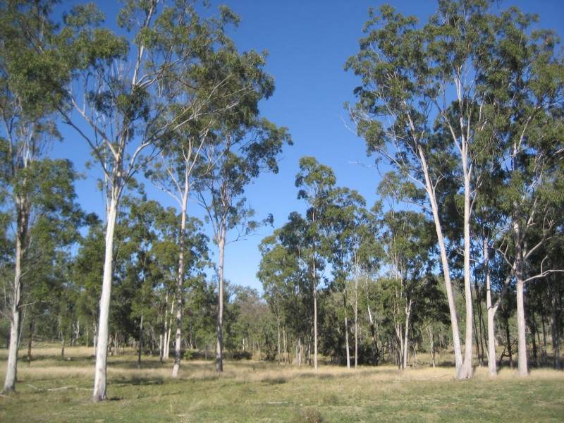 Biggenden QLD 4621