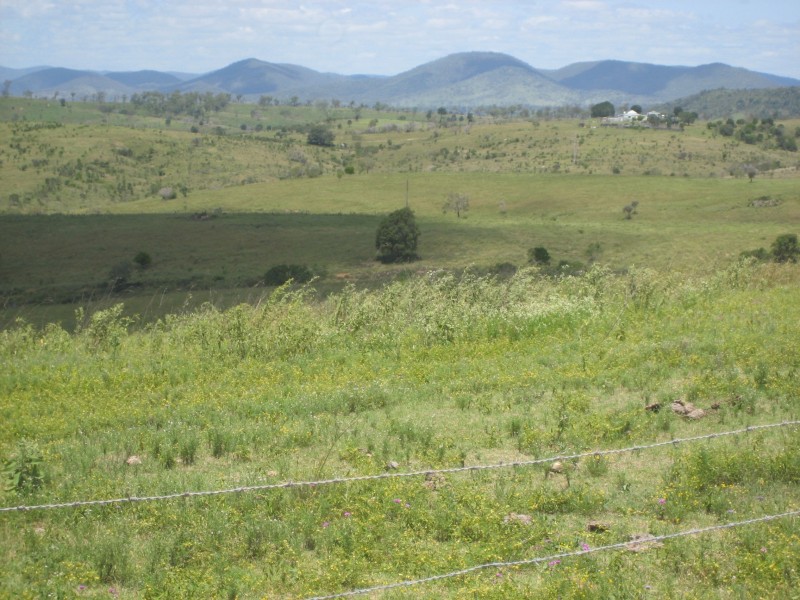 Coringa QLD 4621