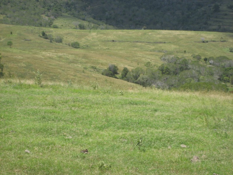 Coringa QLD 4621
