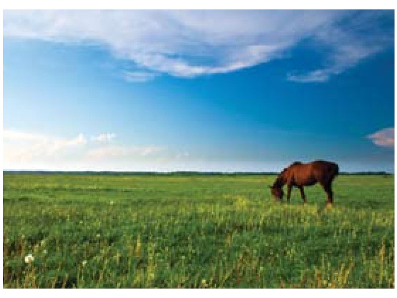 32 Clydesdale Manor, Kelso QLD 4815