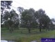 Carseldine QLD 4034