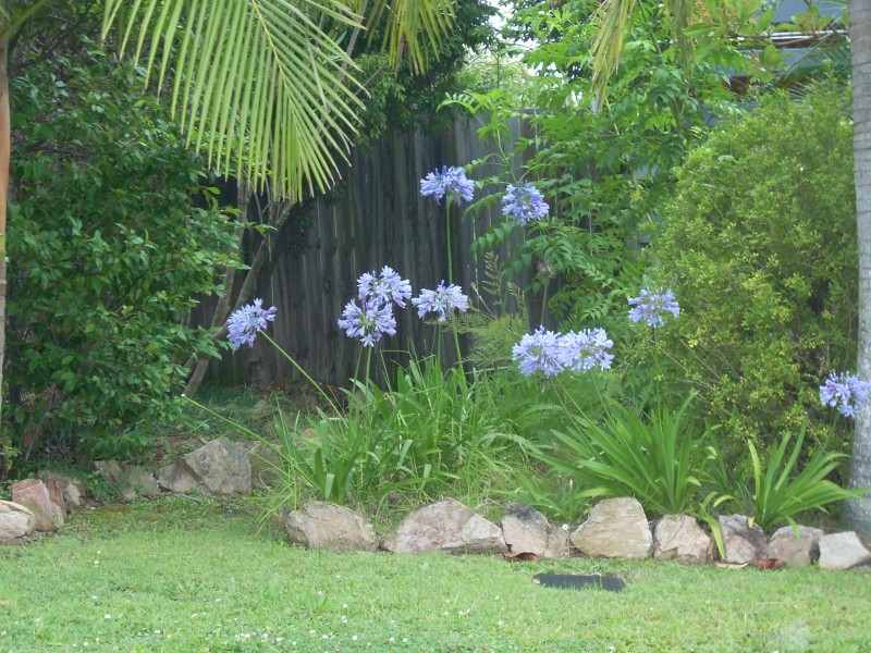 Chermside West QLD 4032