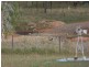 Seventy Mile QLD 4820