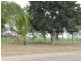 L100 Old Clare Road, Mcdesme QLD 4807