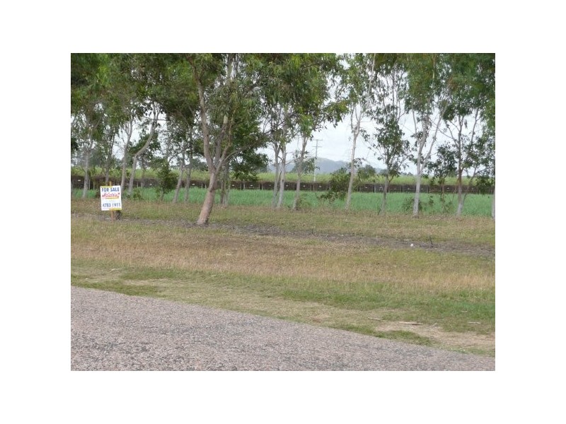 L100 Old Clare Road, Mcdesme QLD 4807