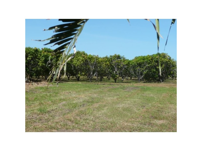 Lot 9 Anabranch Road, Jarvisfield QLD 4807