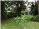 Ayr QLD 4807