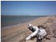 Alva Beach QLD 4807
