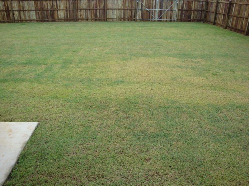 Bargara QLD 4670