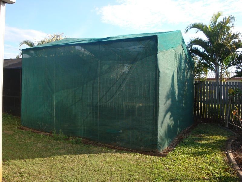 Avoca QLD 4670