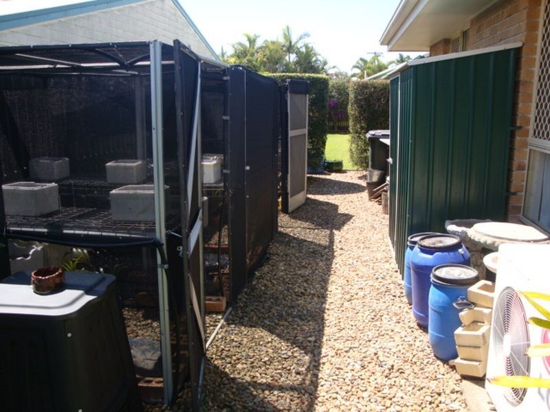 Avenell Heights QLD 4670