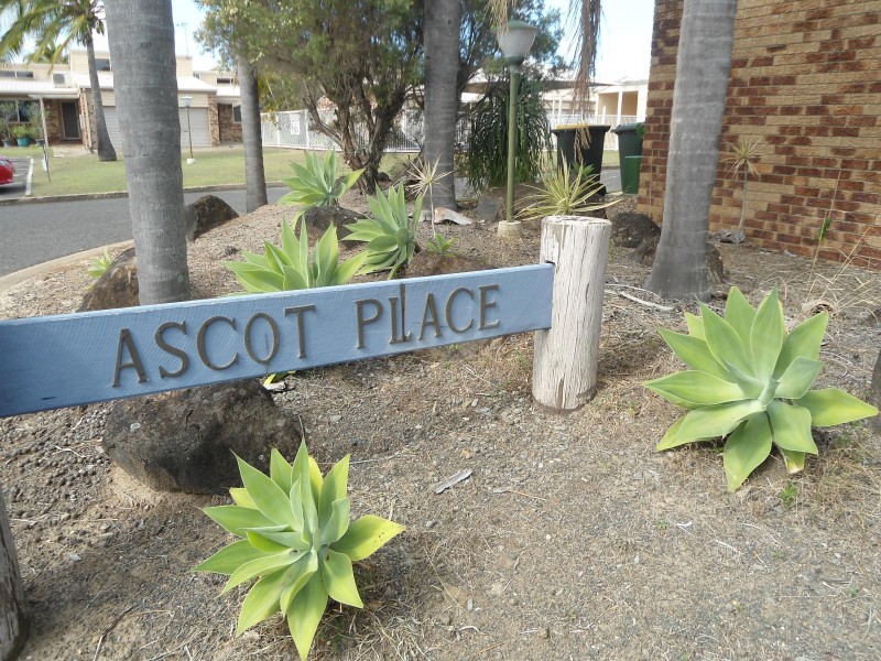 Svensson Heights QLD 4670