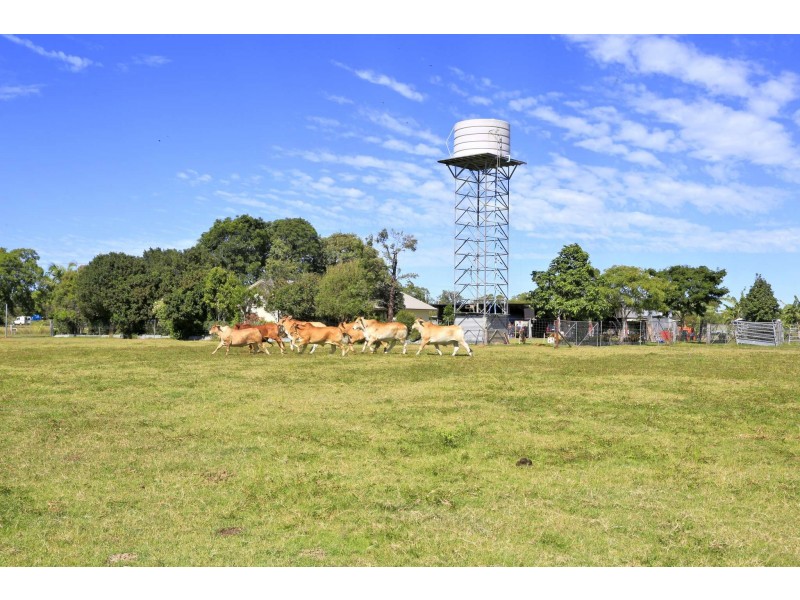 Branyan QLD 4670