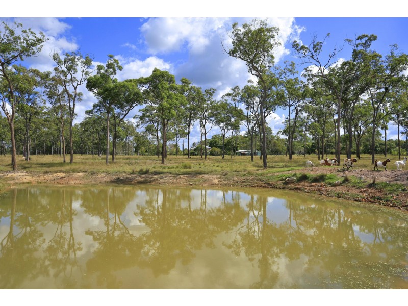 268 Birthamba Rd, South Kolan QLD 4670
