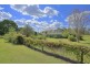268 Birthamba Rd, South Kolan QLD 4670