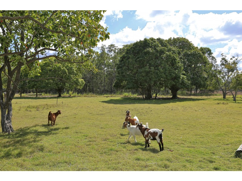 268 Birthamba Rd, South Kolan QLD 4670
