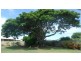 34 Lovejoy St, Avenell Heights QLD 4670