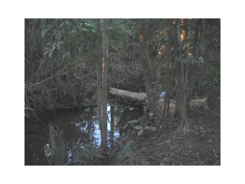 North Arm QLD 4561