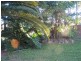 North Arm QLD 4561