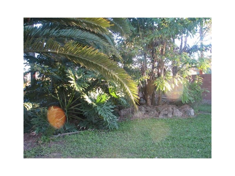 North Arm QLD 4561