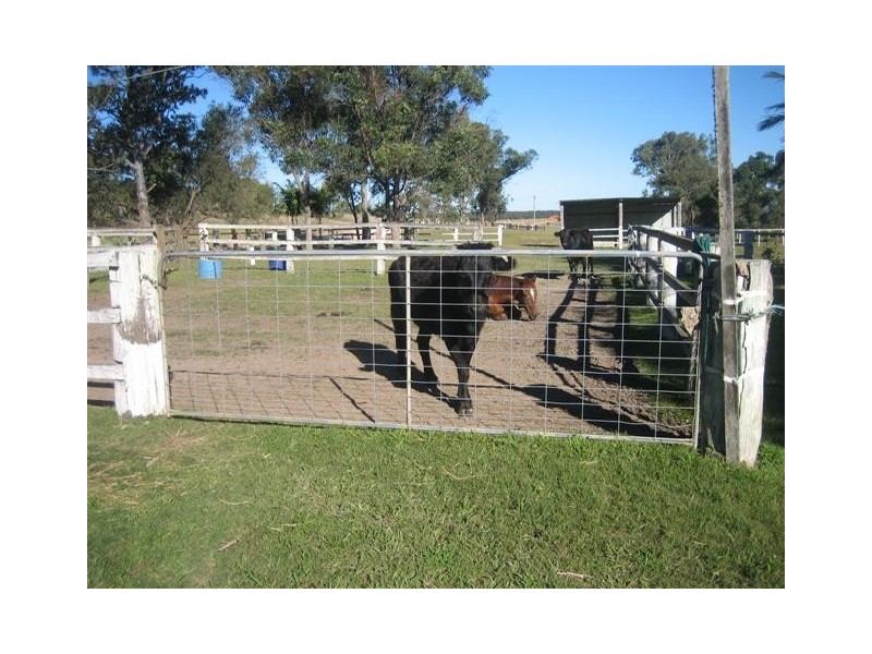 Yandina Creek QLD 4561