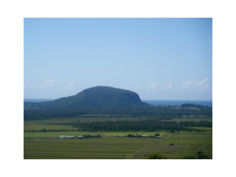 Maroochy River QLD 4561