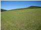 Yandina QLD 4561