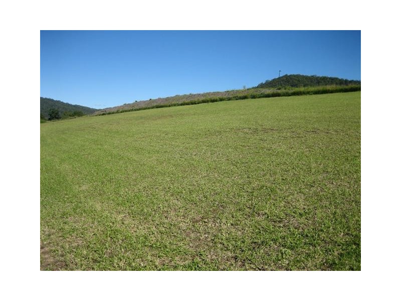 Yandina QLD 4561