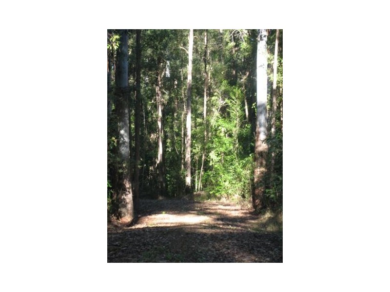 North Arm QLD 4561