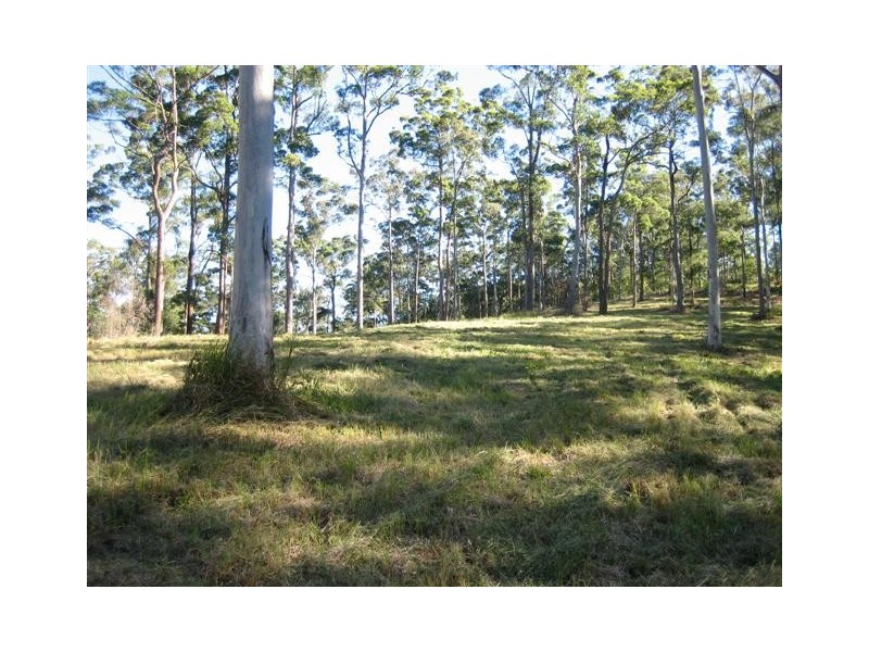 North Arm QLD 4561