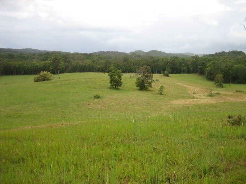 Eumundi QLD 4562