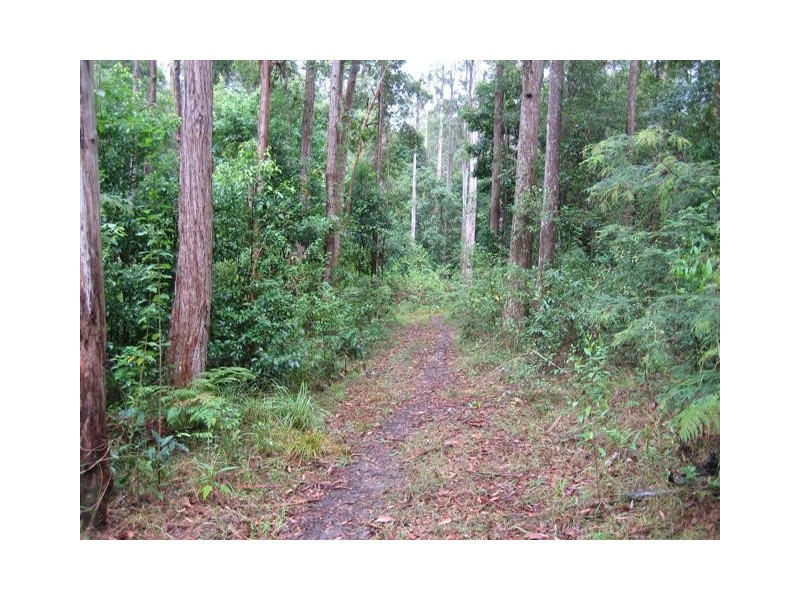Eumundi QLD 4562