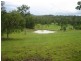 Eumundi QLD 4562