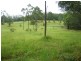Eumundi QLD 4562