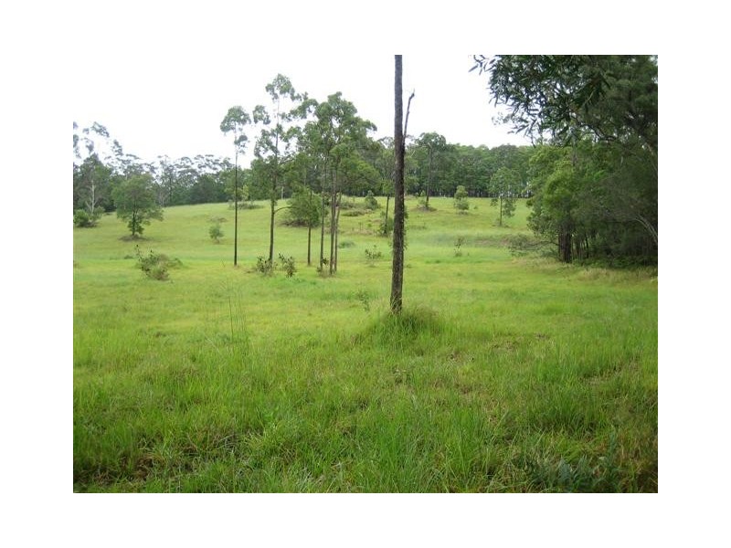 Eumundi QLD 4562