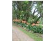 Cooloolabin QLD 4560