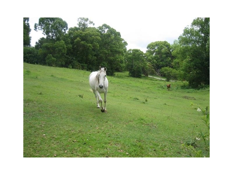 Cooloolabin QLD 4560