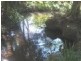 Eumundi QLD 4562