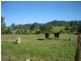 Eumundi QLD 4562