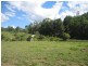 Eumundi QLD 4562
