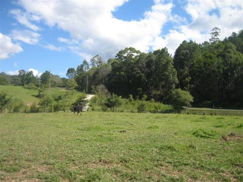 Eumundi QLD 4562