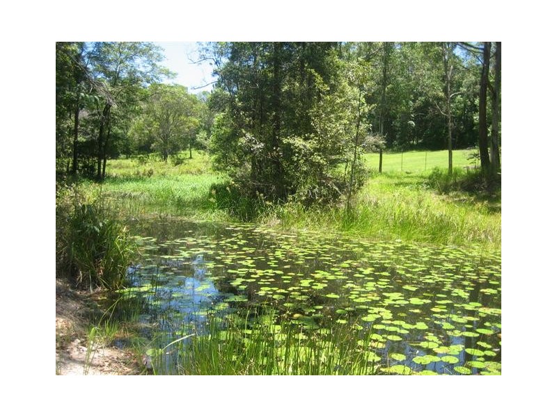 Yandina QLD 4561