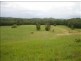 Eumundi QLD 4562